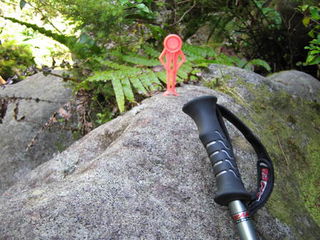 Mr Peg tramping the Coromandels