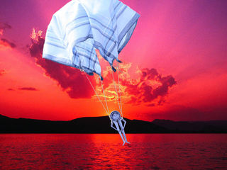 Flying High